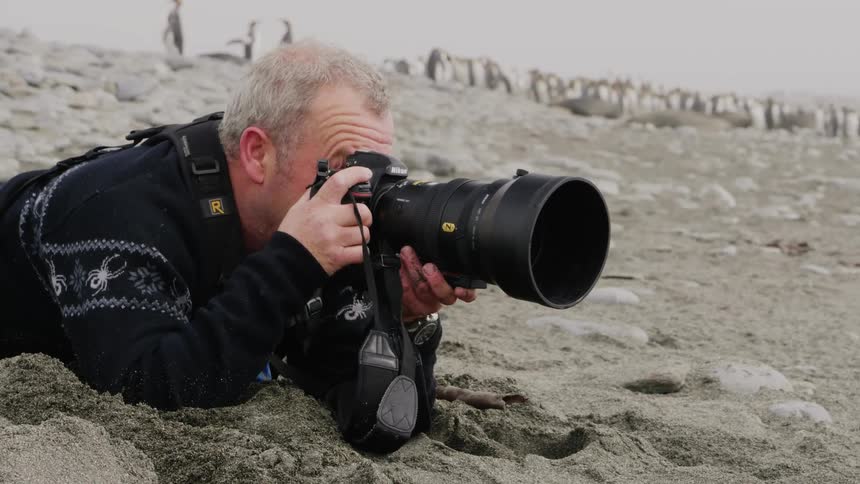 Photographer uses a wide lens on his camera to take pictures of penguins on a rocky beach