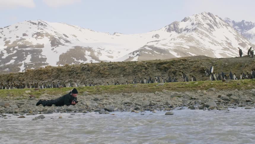A white man in warm clothing is scooting on his belly on a rocky shore taking pictures of nearby penguins on a grassy slope next to a snowy mountain range