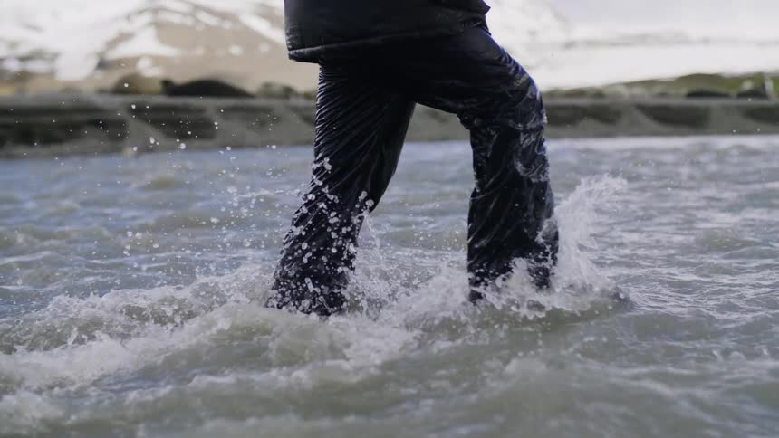 A male walking through shallow water near penguins on a beach