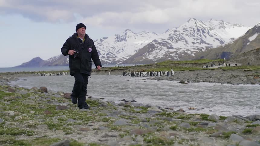Male photographer with a black beanie a coat and pants carries a camera and walks along a rocky shore in order to photograph penguins