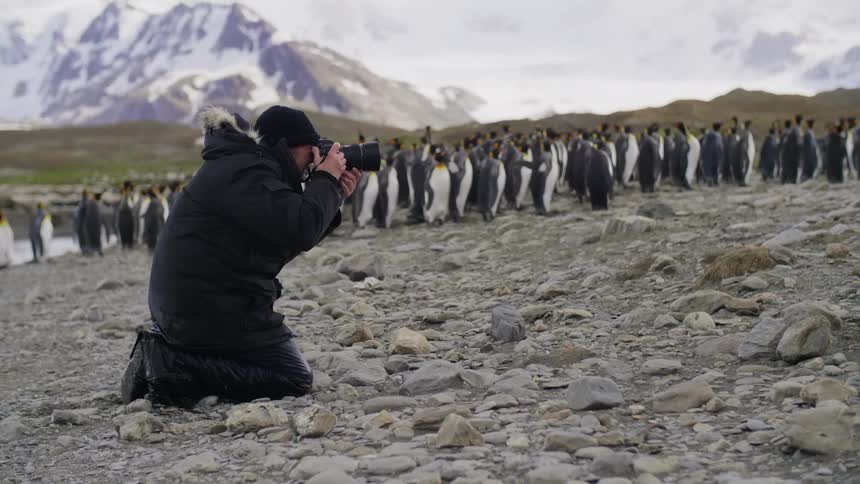 A man kneeling on the rocky shore takes pictures of penguins