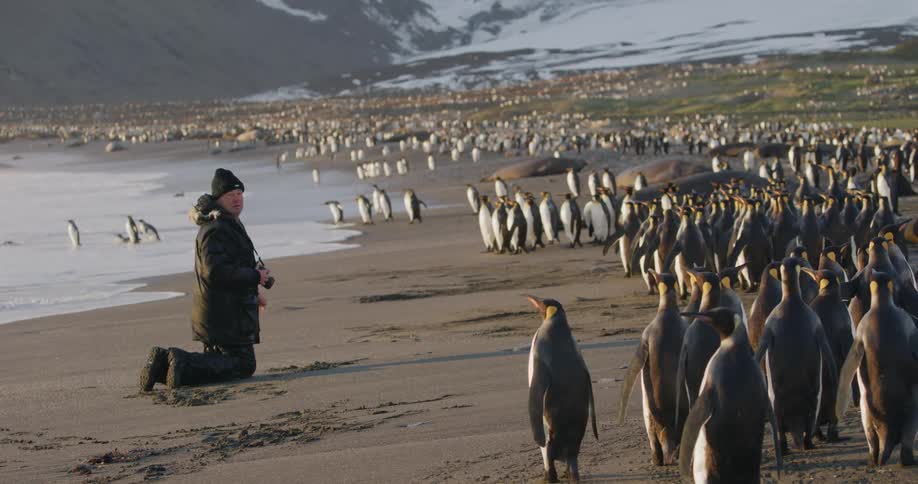 Male photographer with a black beanie a coat and pants gets down on his knees and takes a picture of a colony of penguins walking along a shore