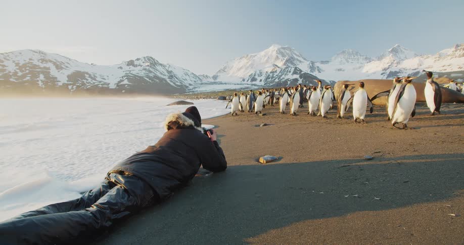 A man lays in the sand with ocean water coming up to him as he watches a group of penguins