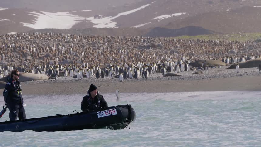 Two men traveling on a boat near a coast full of penguins