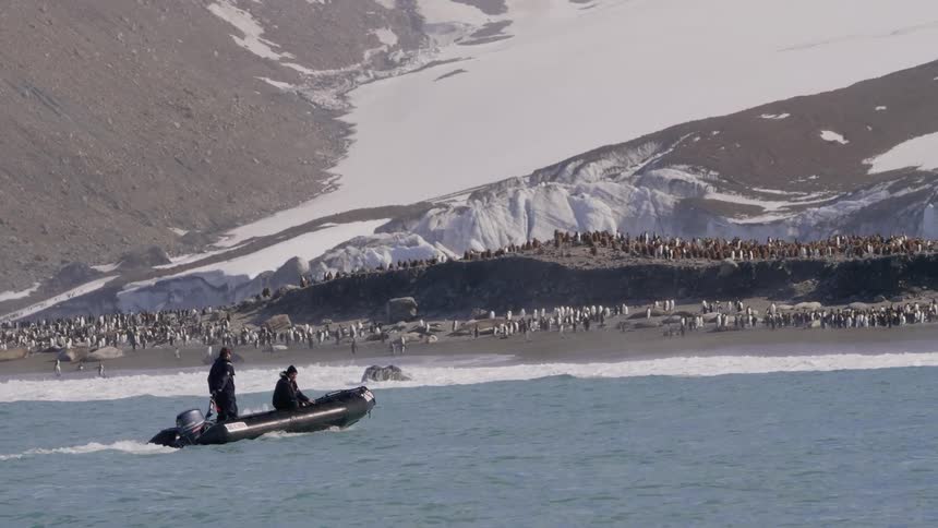 Two people in a boat look at the beach filled with penguins
