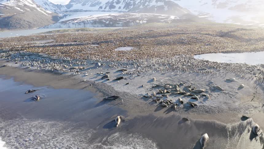 An aerial view of an arctic area is displayed