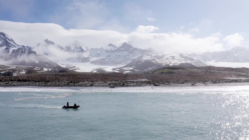 Two people in a boat drive by penguins covering the shore