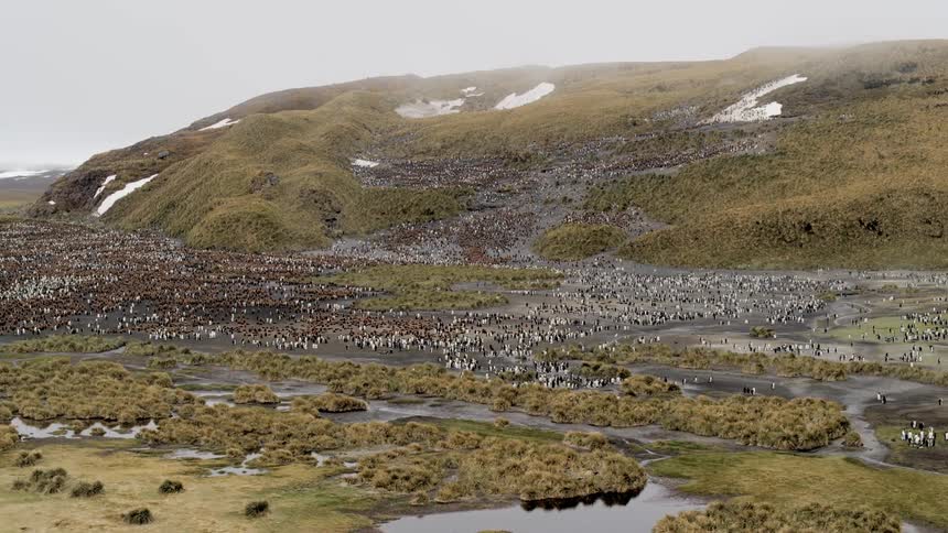An aerial view of penguins covering a remote landscape on a foggy day