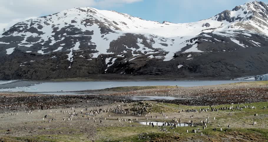 Aerial view of penguins in front of the water and mountains