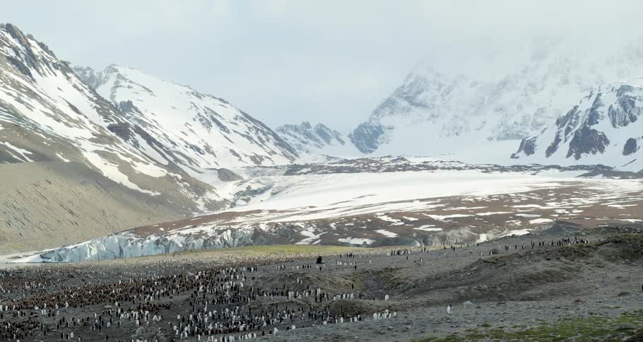 A large group of penguins gather together on a icy mountain range