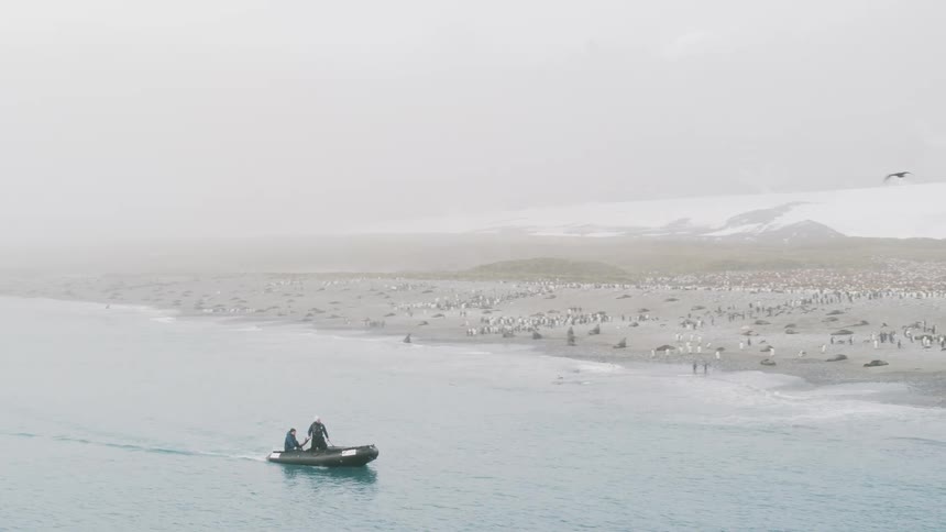 Man stands in boat as second man maneuvers them toward shore covered with penguin flock