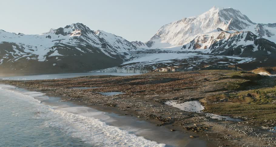Aerial view of a colony of penguins on the shore with foggy mountains in the background