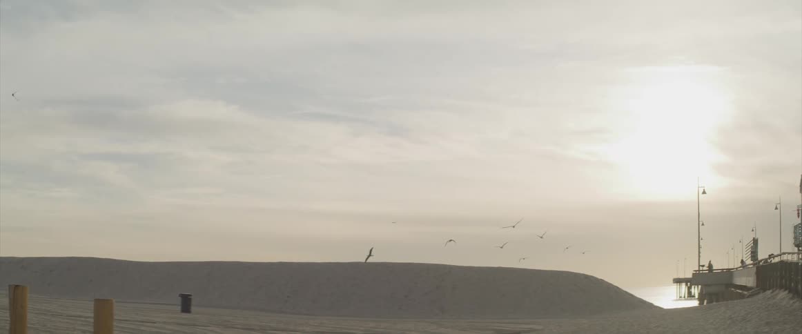 Birds flying over a sandy shore by the pier with a person walking in the distance