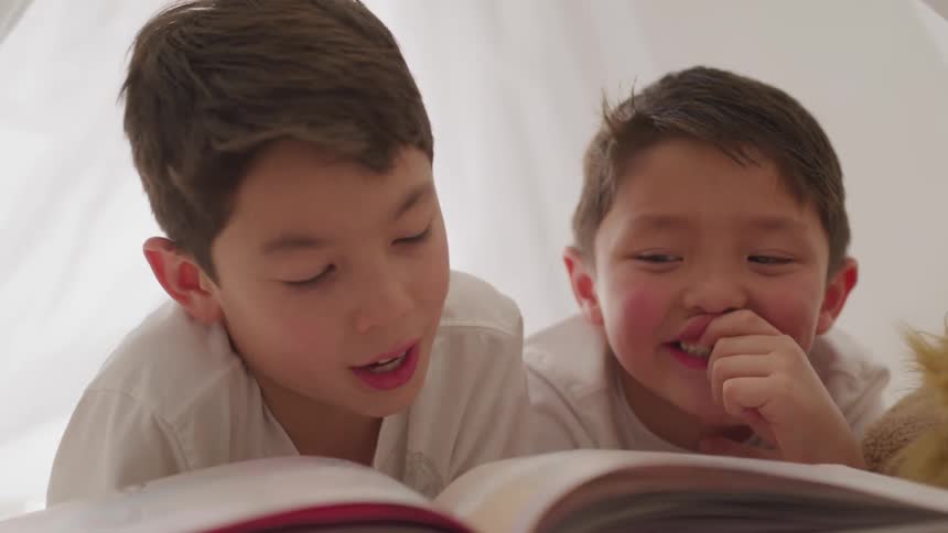 Boy reads to his little brother from book
