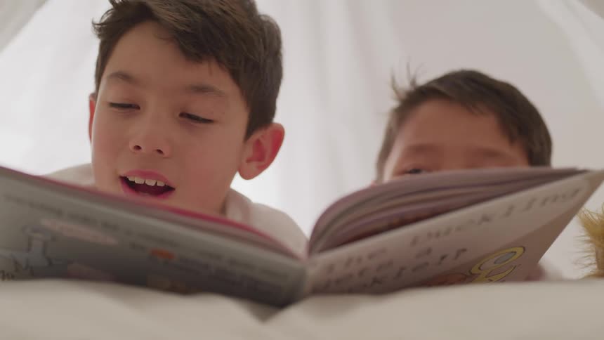 A young boy reading a book to his little brother