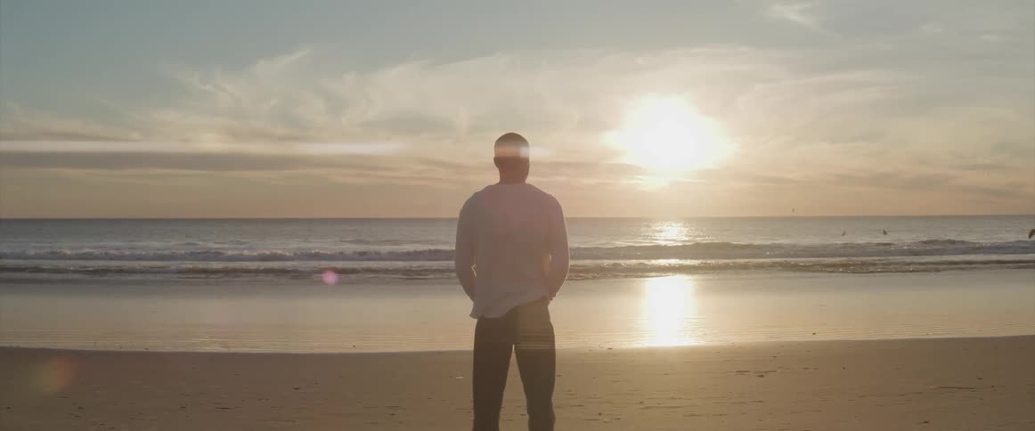 A bird flies by a man standing on the beach looking out at the water