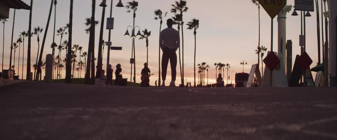 Silhouette of a young man standing on a park near palm trees at sunset
