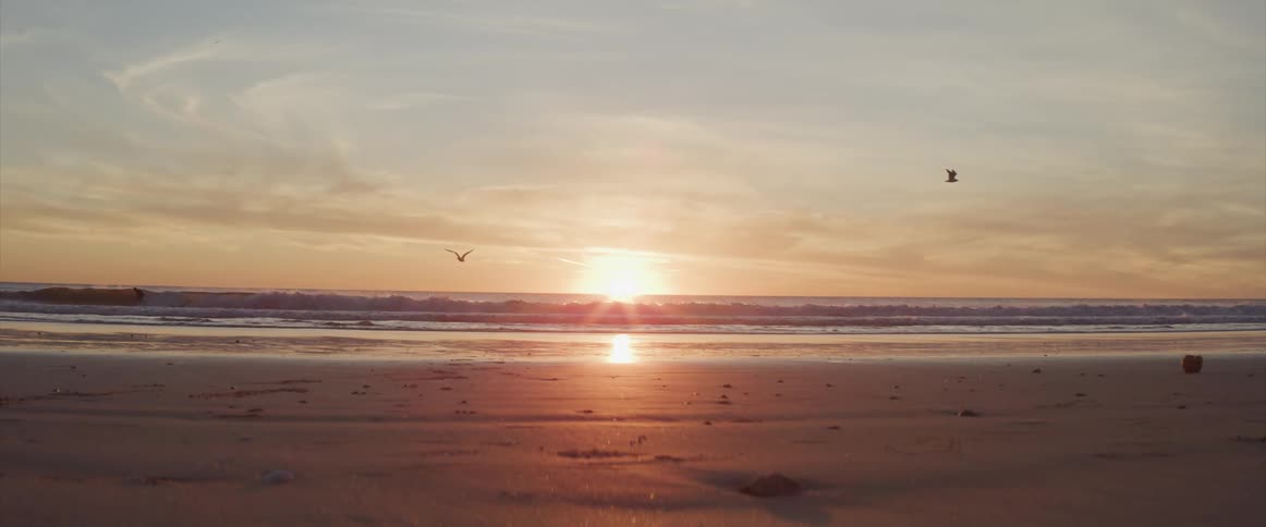 Birds fly across a beach as the sun peaks over the horizon