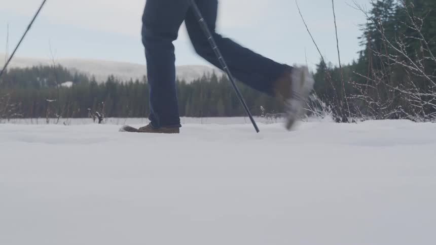 Man uses mountaineering canes to walk over the snow next to the forest on the mountains