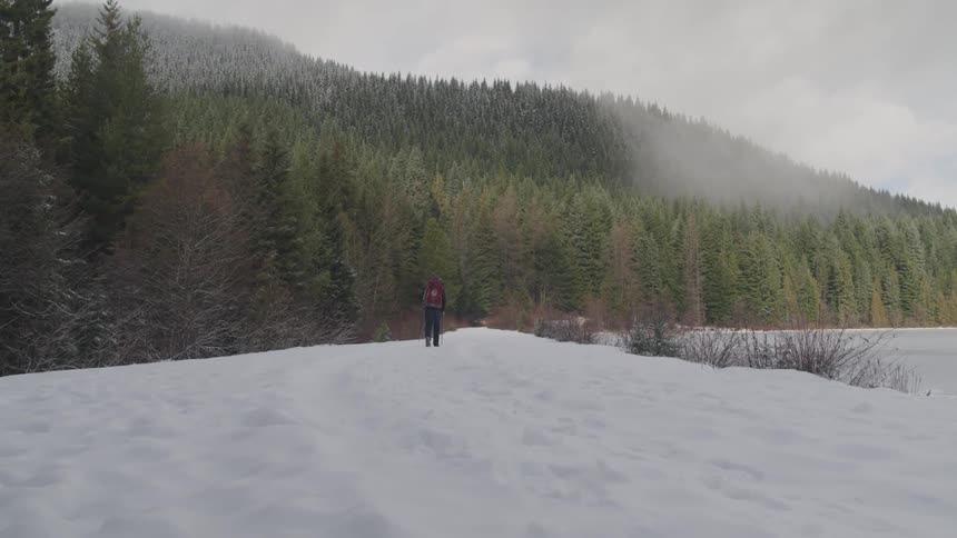 A person is hiking towards the forest on the mountain