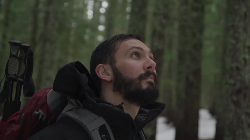 Side view of a man with a beard backpack and a black coat looking up at tall trees in snow covered forest