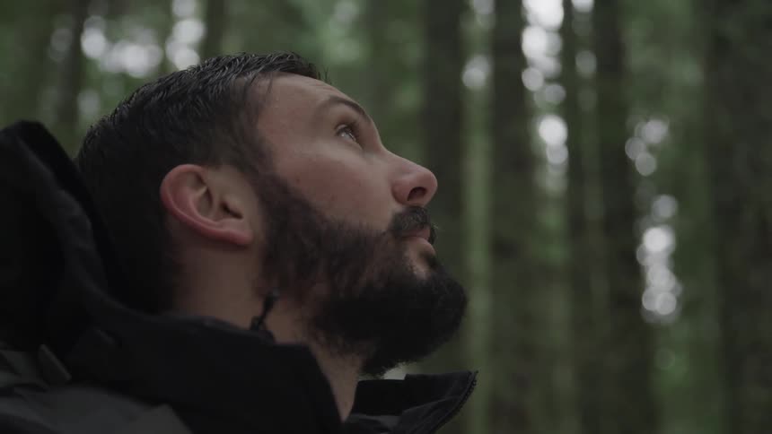A bearded man looks upwards as he stands within a forest grove filled with tall trees