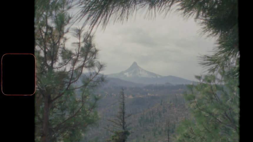Tall mountain peak in distance from pine forest