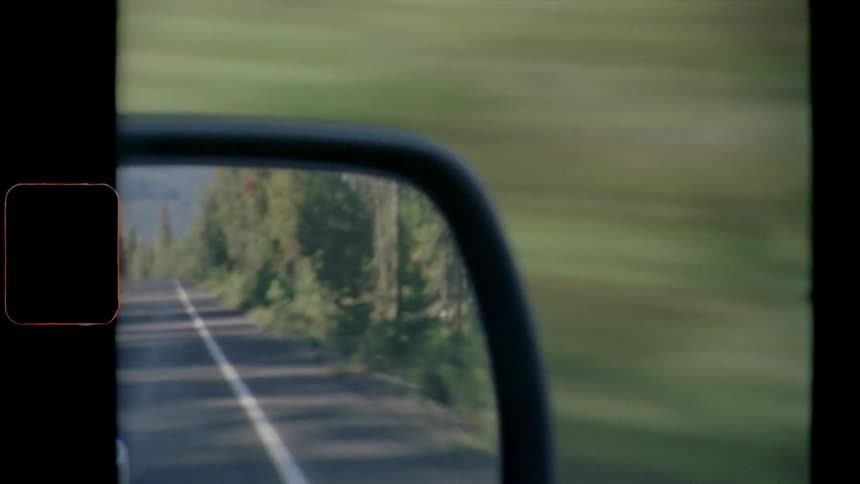 A vehicle with a rear view mirror with the road trees and the sky