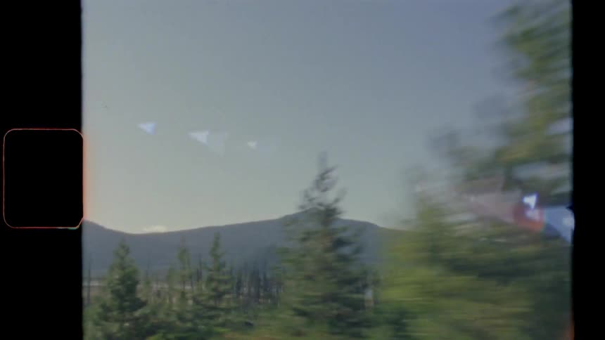Conifer forest spreads to foot of mountain range under blue sky