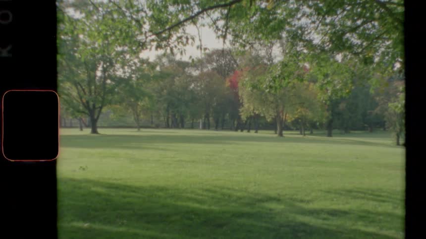 A large public park with green grass and trees