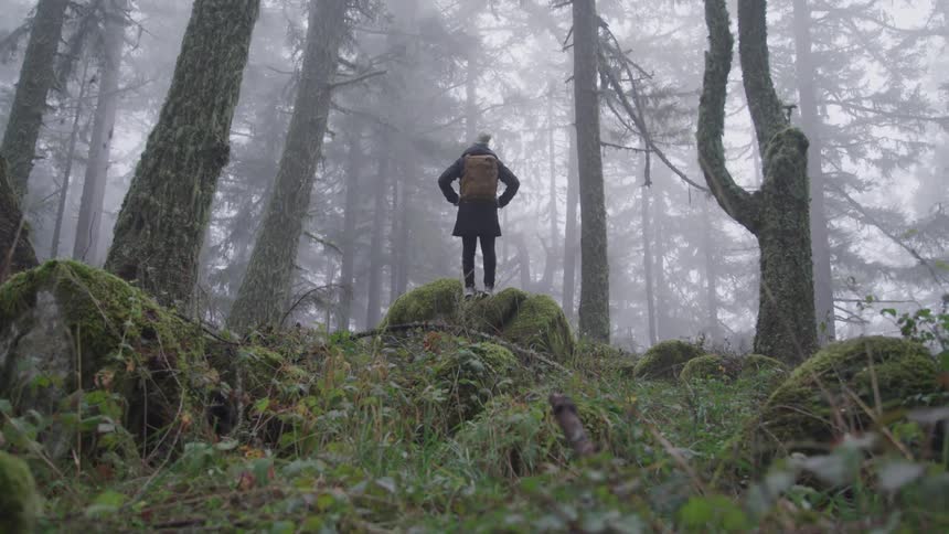 Woman with a white beanie a black coat and a brown backpack stands on a rock in a foggy forest