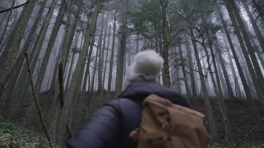 A hiker looks up at the tall trees in a forest