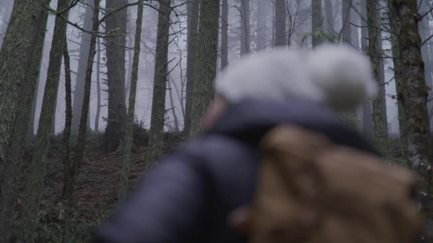 A hiker stands at the base of a hill in a foggy forest during the evening