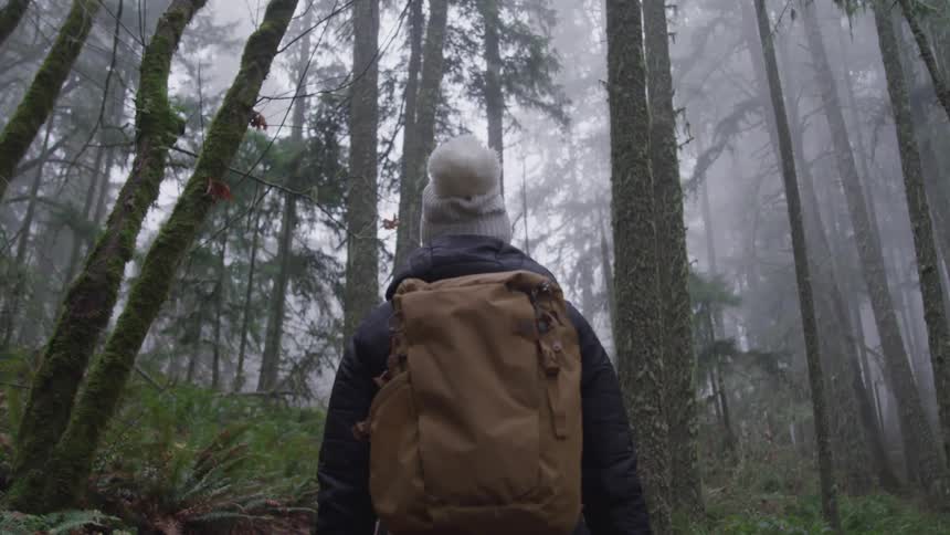 A hiker with a large backpack makes their way through a forest full of tall trees cloaked in fog