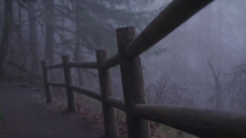 A wooden fence next to a walkway with trees and plants and the sky in the background