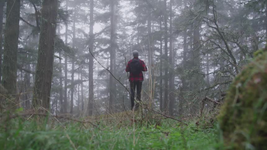 Hiker wearing a backpack stands in the forest