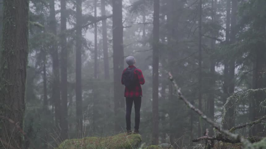 A person stands on a rock looking up at the trees in a forest