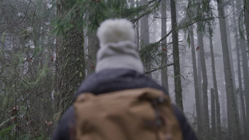 A person with a backpack a coat and a hat walking in a forest
