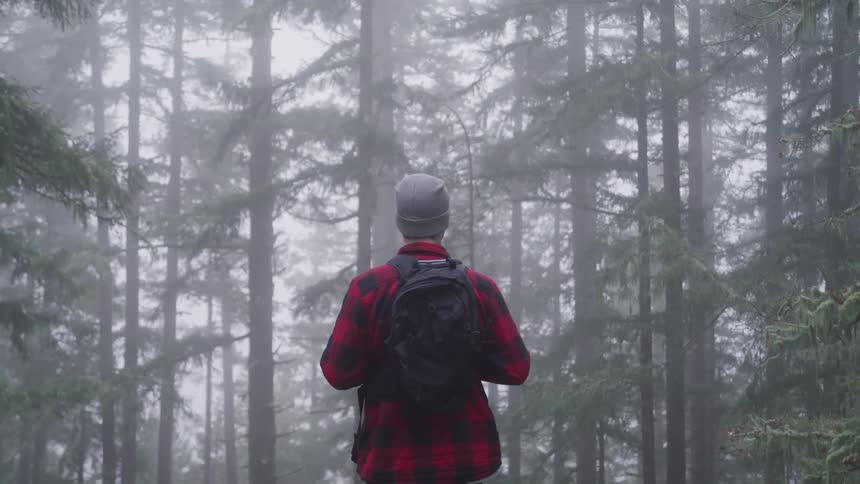 Young woman wearing a backpack looks pensively at the pine tree forest covered in fog