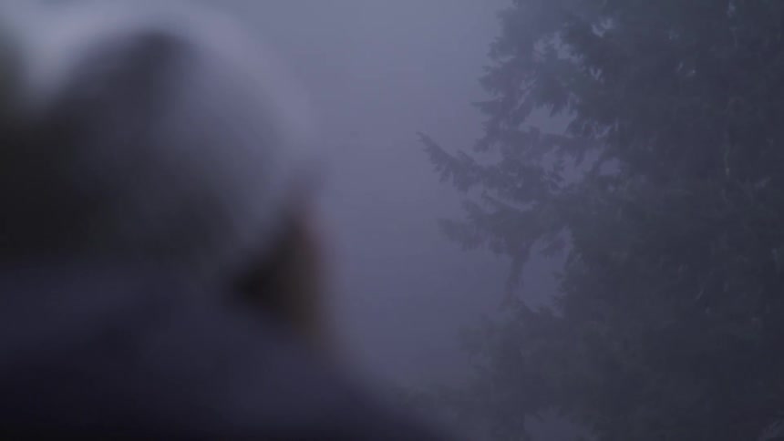 Woman with a white beanie stands in dark foggy forest