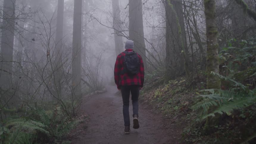 Young man with a backpack walks on a trail through fog in the forest