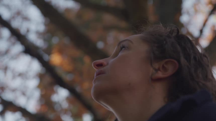 Side view of woman with curly hair looking up under a tree