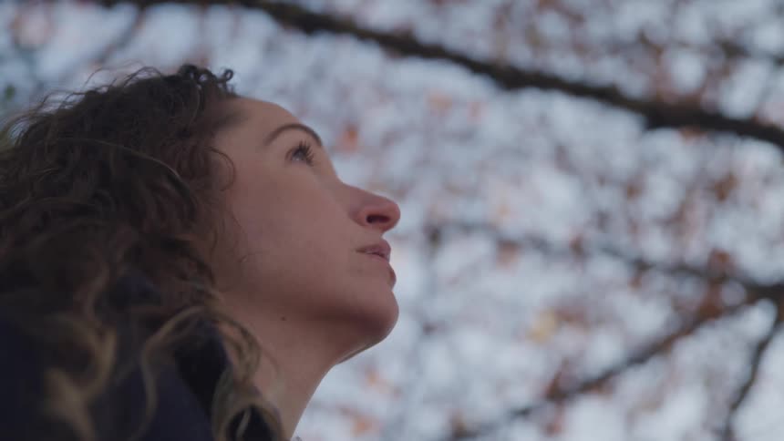 Side view of a woman with curly hair looking up at a tree