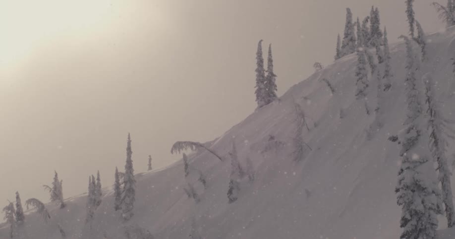 Snow falls from a cloudy sky onto a mountain slope covered in frost
