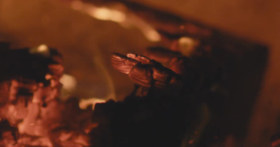 Sparks rise from the burning wood