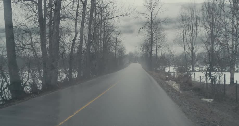 Barren trees line an asphalt road