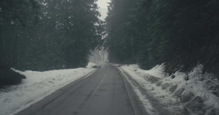 Vehicle drives on an asphalt road through snowy forest