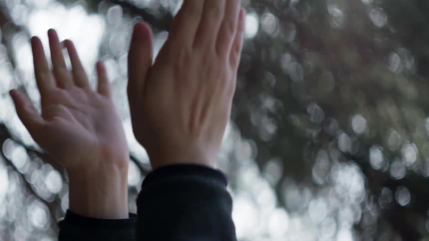 A person hands clapping with trees and the sky in the background