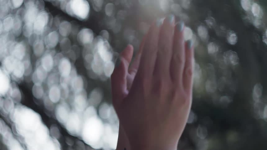 A woman hands with trees and the sky in the background