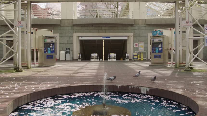 Birds are by a water fountain at a park